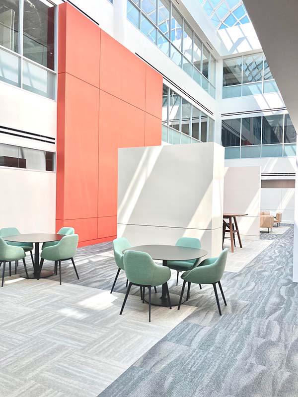 Commercial painting project in a modern office atrium with bold accent wall and painted partition walls in North Dallas