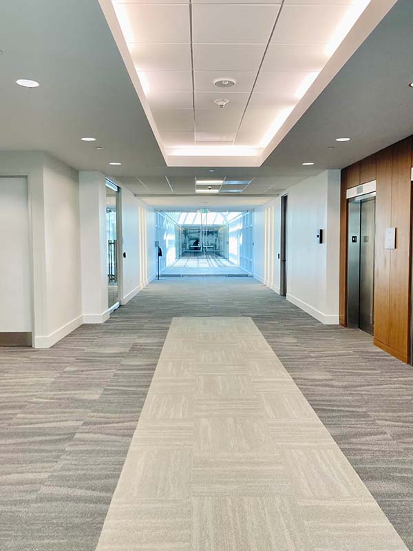 Painted office building corridor with white walls, tray ceiling, and elevator bay in North Dallas
