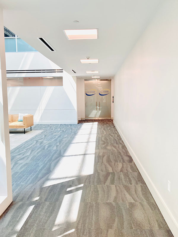 Painted white office corridor leading to glass entry doors in North Dallas medical or professional facility