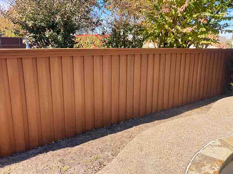 Freshly stained cedar wood privacy fence with warm honey tone in North Dallas backyard