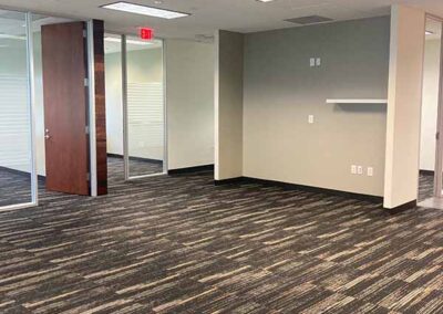PPP commercial painting completed project finish